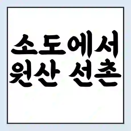 소도에서 원산 선촌 가는 배 시간표 | 배편요금 | 여객선 운항정보 | 승선권 예매