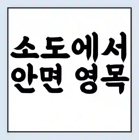 소도에서 안면 영목 가는 배 시간표 | 배편요금 | 여객선 운항정보 | 승선권 예매