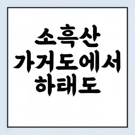 소흑산 가거도에서 하태도 가는 배 시간표 | 배편요금 | 여객선 운항정보 | 승선권 예매