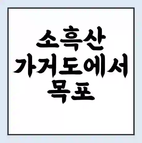 소흑산 가거도에서 목포 가는 배 시간표 | 배편요금 | 여객선 운항정보 | 승선권 예매