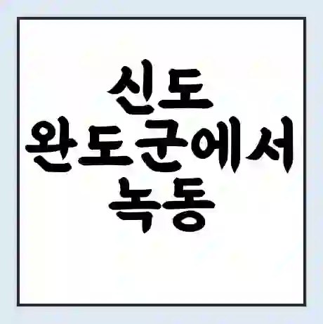 신도 완도군에서 녹동 가는 배 시간표 | 배편요금 | 여객선 운항정보 | 승선권 예매