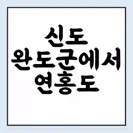 신도 완도군에서 연홍도 금산 가는 배 시간표 | 배편요금 | 여객선 운항정보 | 승선권 예매