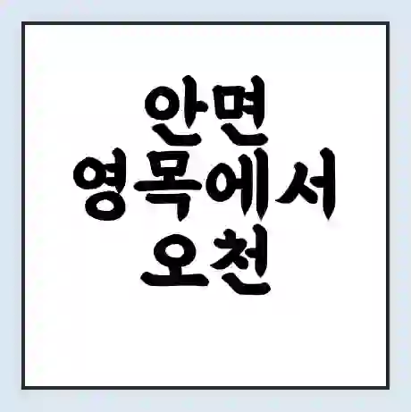 안면 영목에서 오천 가는 배 시간표 | 배편요금 | 여객선 운항정보 | 승선권 예매