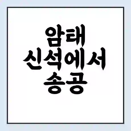암태 신석에서 송공 가는 배 시간표 | 배편요금 | 여객선 운항정보 | 승선권 예매