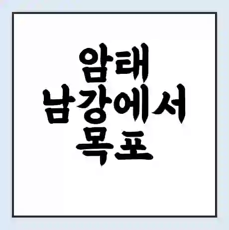 암태 남강에서 목포 북항 가는 배 시간표 | 배편요금 | 여객선 운항정보 | 승선권 예매