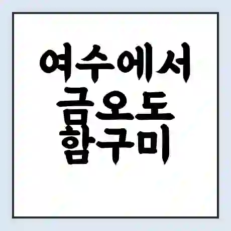 여수에서 금오도 함구미 가는 배 시간표 | 배편요금 | 여객선 운항정보 | 승선권 예매