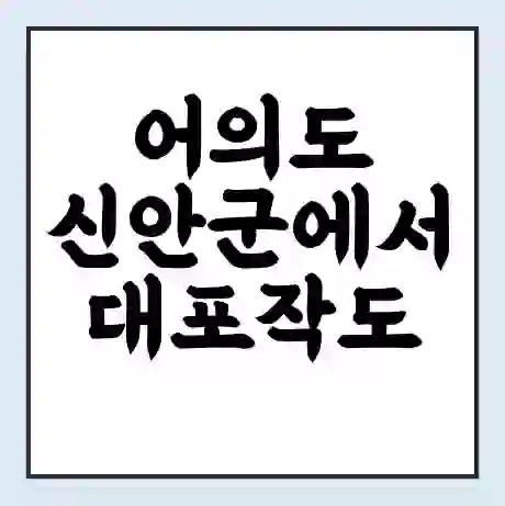 어의도 신안군에서 대포작도 가는 배 시간표 | 배편요금 | 여객선 운항정보 | 승선권 예매