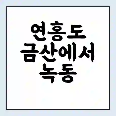 연홍도 금산에서 녹동 가는 배 시간표 | 배편요금 | 여객선 운항정보 | 승선권 예매