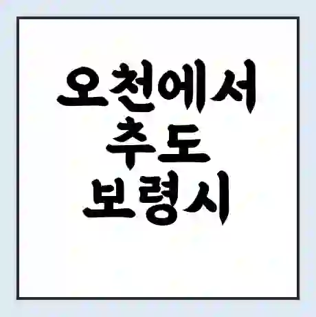 오천에서 추도 보령시 가는 배 시간표 | 배편요금 | 여객선 운항정보 | 승선권 예매