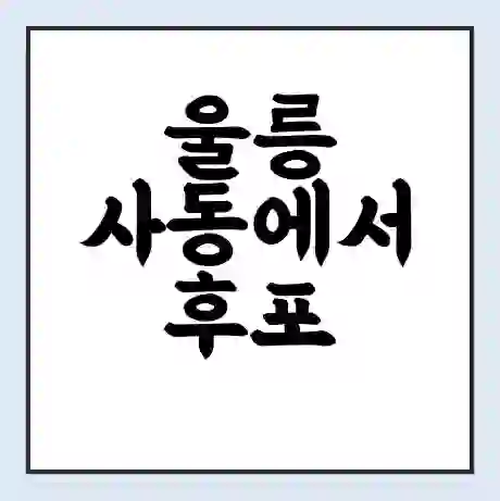 울릉 사동에서 후포 가는 배 시간표 | 배편요금 | 여객선 운항정보 | 승선권 예매