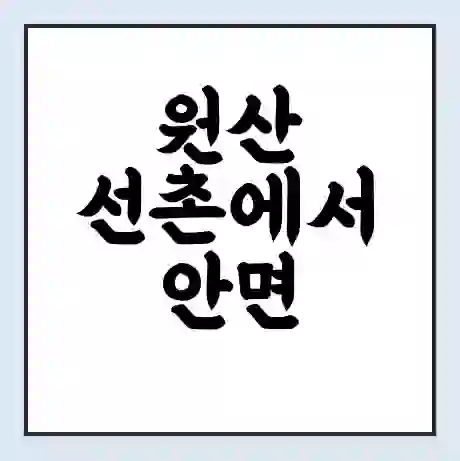 원산 선촌에서 안면 영목 가는 배 시간표 | 배편요금 | 여객선 운항정보 | 승선권 예매