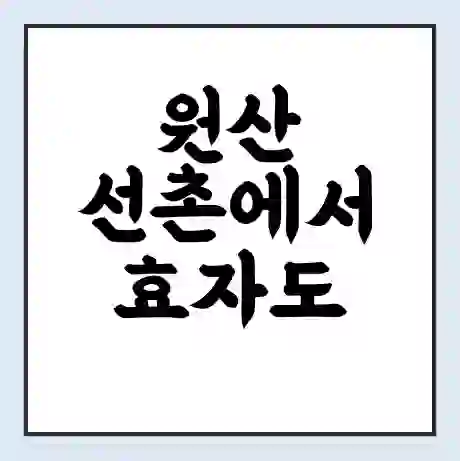 원산 선촌에서 효자도 가는 배 시간표 | 배편요금 | 여객선 운항정보 | 승선권 예매