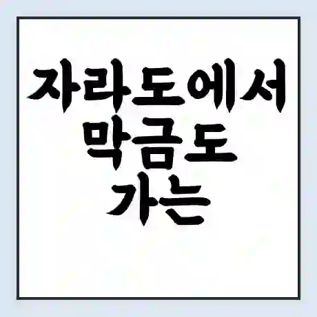자라도에서 막금도 가는 배 시간표 | 배편요금 | 여객선 운항정보 | 승선권 예매