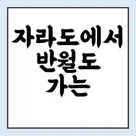 자라도에서 반월도 가는 배 시간표 | 배편요금 | 여객선 운항정보 | 승선권 예매