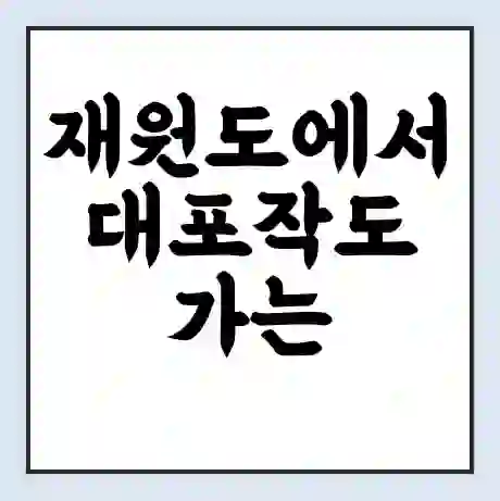 재원도에서 대포작도 가는 배 시간표 | 배편요금 | 여객선 운항정보 | 승선권 예매