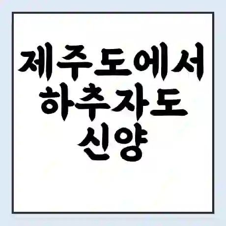 제주도에서 하추자도 신양 가는 배 시간표 | 배편요금 | 여객선 운항정보 | 승선권 예매