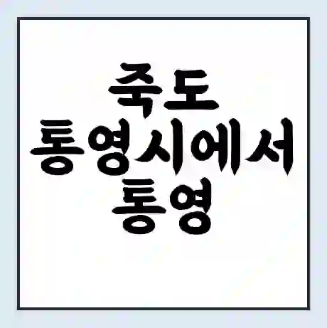 죽도 통영시에서 통영 도착 가는 배 시간표 | 배편요금 | 여객선 운항정보 | 승선권 예매