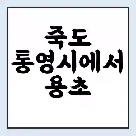 죽도 통영시에서 용초 용초 가는 배 시간표 | 배편요금 | 여객선 운항정보 | 승선권 예매