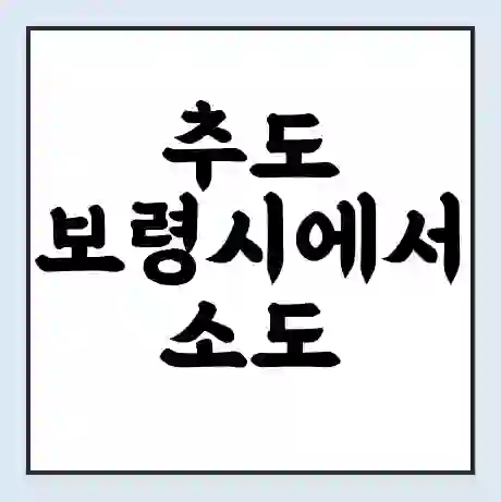 추도 보령시에서 소도 가는 배 시간표 | 배편요금 | 여객선 운항정보 | 승선권 예매