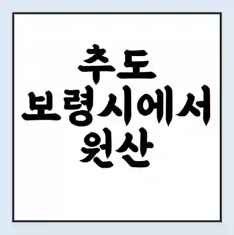 추도 보령시에서 원산 선촌 가는 배 시간표 | 배편요금 | 여객선 운항정보 | 승선권 예매