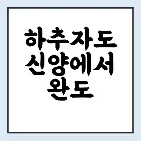 하추자도 신양에서 완도 가는 배 시간표 | 배편요금 | 여객선 운항정보 | 승선권 예매