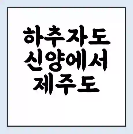 하추자도 신양에서 제주도 가는 배 시간표 | 배편요금 | 여객선 운항정보 | 승선권 예매