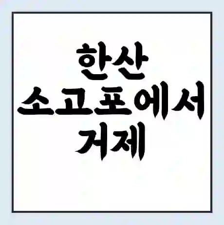 한산 소고포에서 거제 어구 가는 배 시간표 | 배편요금 | 여객선 운항정보 | 승선권 예매