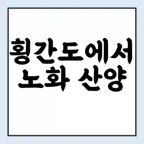 횡간도에서 노화 산양 보길 가는 배 시간표 | 배편요금 | 여객선 운항정보 | 승선권 예매