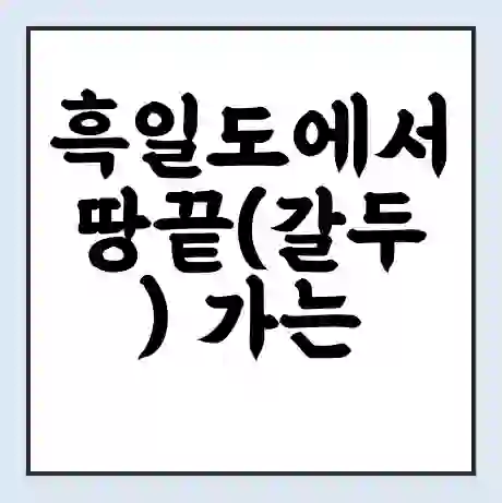 흑일도에서 땅끝(갈두) 가는 배 시간표 | 배편요금 | 여객선 운항정보 | 승선권 예매