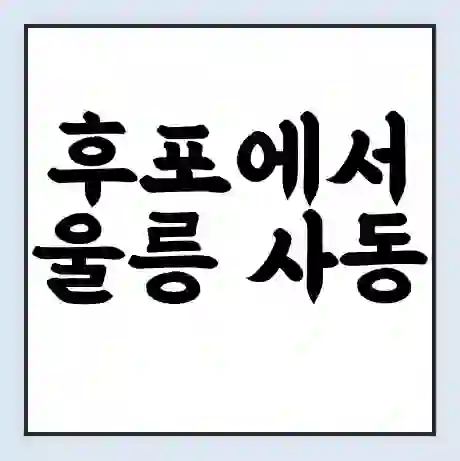 후포에서 울릉 사동 가는 배 시간표 | 배편요금 | 여객선 운항정보 | 승선권 예매