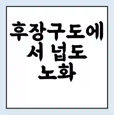 후장구도에서 넙도 노화 가는 배 시간표 | 배편요금 | 여객선 운항정보 | 승선권 예매