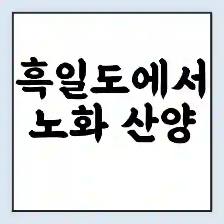 흑일도에서 노화 산양 보길 가는 배 시간표 | 배편요금 | 여객선 운항정보 | 승선권 예매