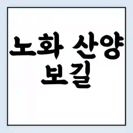 노화 산양 보길 배시간표 | 배요금 | 배편 시간표 | 선착장 배시간