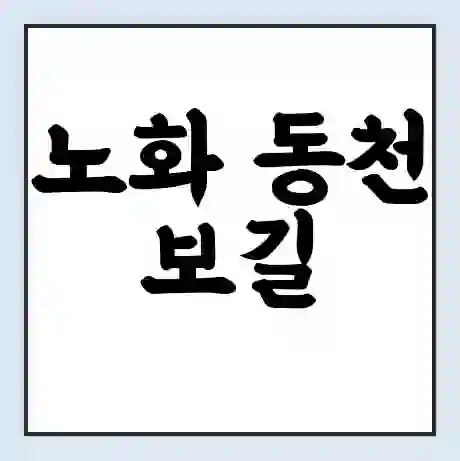 노화 동천 보길 배시간표 | 배요금 | 배편 시간표 | 선착장 배시간