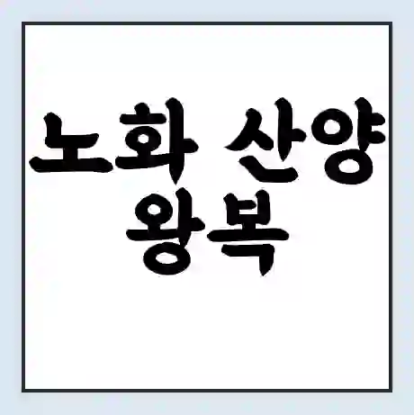 노화 산양 왕복 배시간표 | 배요금 | 배편 시간표 | 선착장 배시간