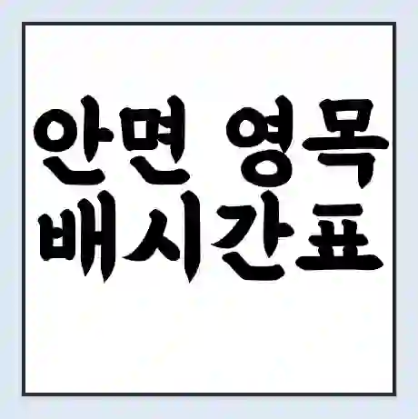 안면 영목 배시간표 | 배요금 | 배편 시간표 | 선착장 배시간