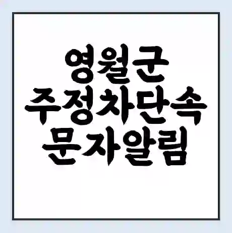 영월군 주정차단속 문자알림 서비스 신청 | 단속 조회 | 어플 | 과태료 조회