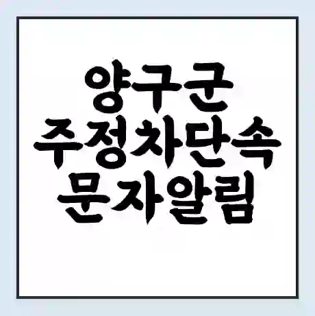 양구군 주정차단속 문자알림 서비스 신청 | 단속 조회 | 어플 | 과태료 조회