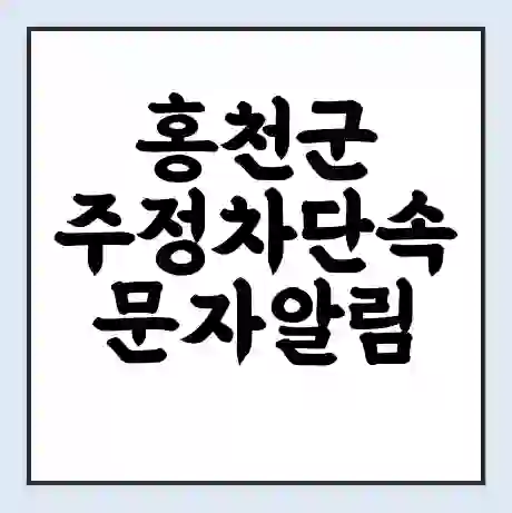 홍천군 주정차단속 문자알림 서비스 신청 | 단속 조회 | 어플 | 과태료 조회