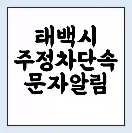 태백시 주정차단속 문자알림 서비스 신청 | 단속 조회 | 어플 | 과태료 조회