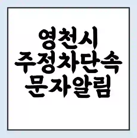 영천시 주정차단속 문자알림 서비스 신청 | 단속 조회 | 어플 | 과태료 조회