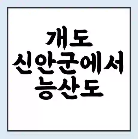 개도 신안군에서 능산도 가는 배 시간표 | 배편요금 | 여객선 운항정보 | 승선권 예매