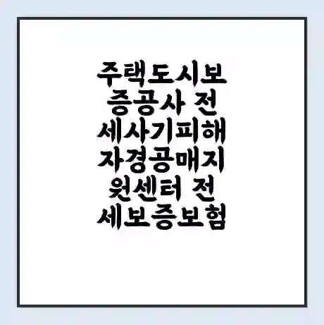주택도시보증공사 전세사기피해자경공매지원센터 전세보증보험 | 인터넷보증 | 안심전세대출 서류 | 연장 | 한도