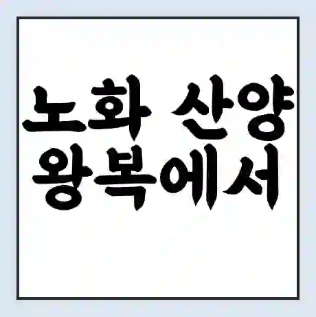 노화 산양 왕복에서 남성 가는 배 시간표 | 배편요금 | 여객선 운항정보 | 승선권 예매