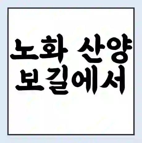 노화 산양 보길에서 횡간도 가는 배 시간표 | 배편요금 | 여객선 운항정보 | 승선권 예매