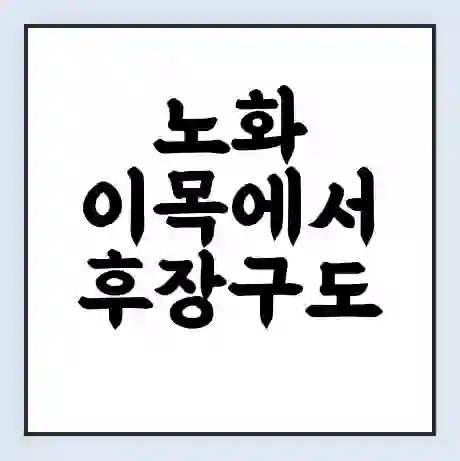 노화 이목에서 후장구도 가는 배 시간표 | 배편요금 | 여객선 운항정보 | 승선권 예매