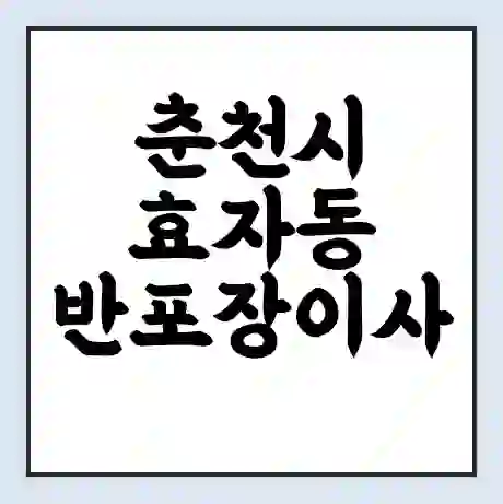 춘천시 효자동 반포장이사 비용 견적 | 준비 | 짐싸기 체크리스트 | 무료 비교견적 | 포장이사 차이