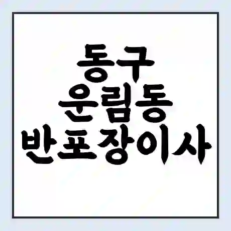 동구 운림동 반포장이사 비용 견적 | 준비 | 짐싸기 체크리스트 | 무료 비교견적 | 포장이사 차이