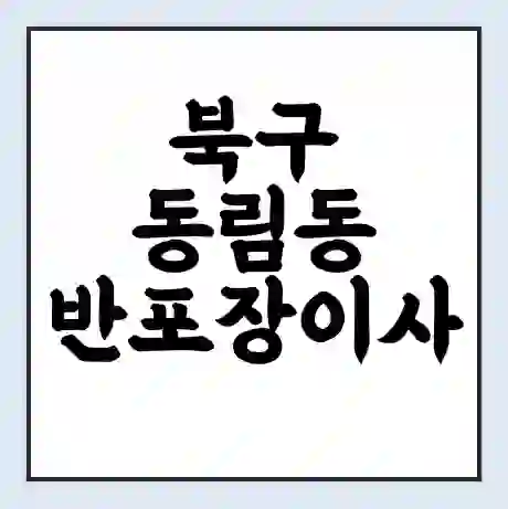 북구 동림동 반포장이사 비용 견적 | 준비 | 짐싸기 체크리스트 | 무료 비교견적 | 포장이사 차이