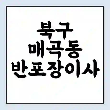 북구 매곡동 반포장이사 비용 견적 | 준비 | 짐싸기 체크리스트 | 무료 비교견적 | 포장이사 차이
